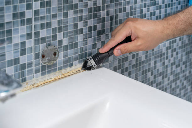 Best Mold Remediation for Schools in Palm Desert, CA
